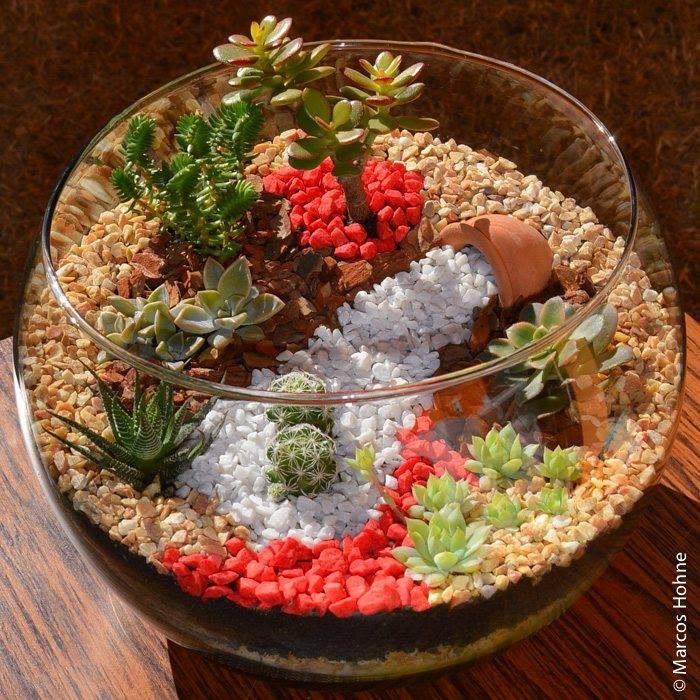 DIY Mini Garden to Fall in Love With - Decor Inspirator