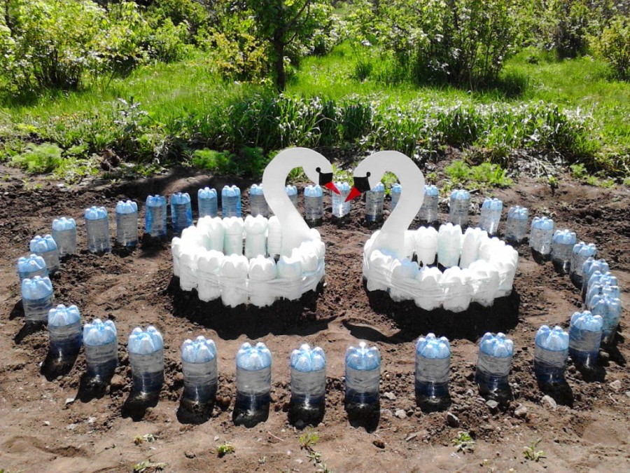 plastic bottles garden