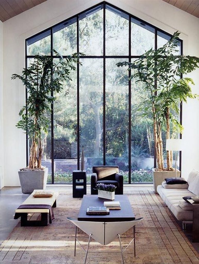 amazing glass walls