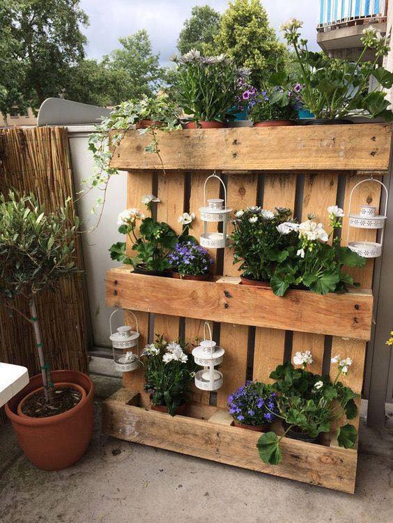 pallet vertical garden 