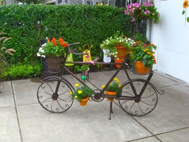 vertical garden