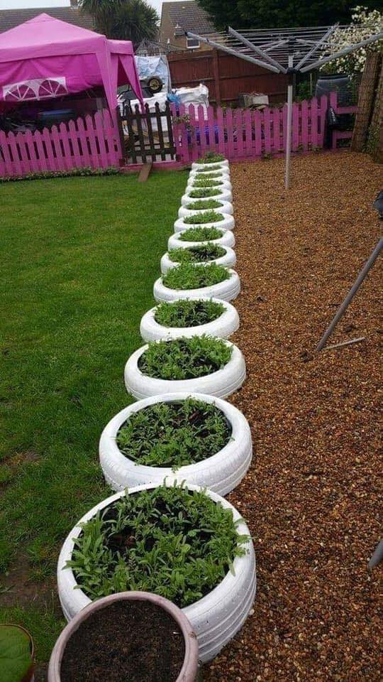 garden edging made of tires