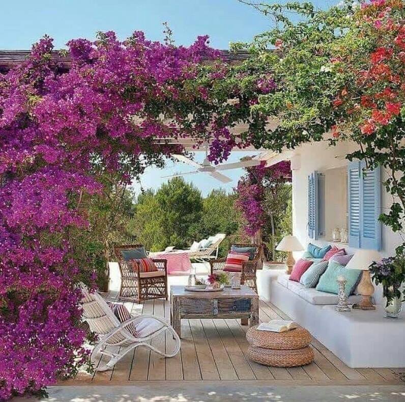 outdoor design with purple flowers