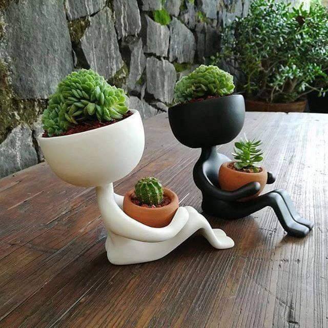 creative flower pots