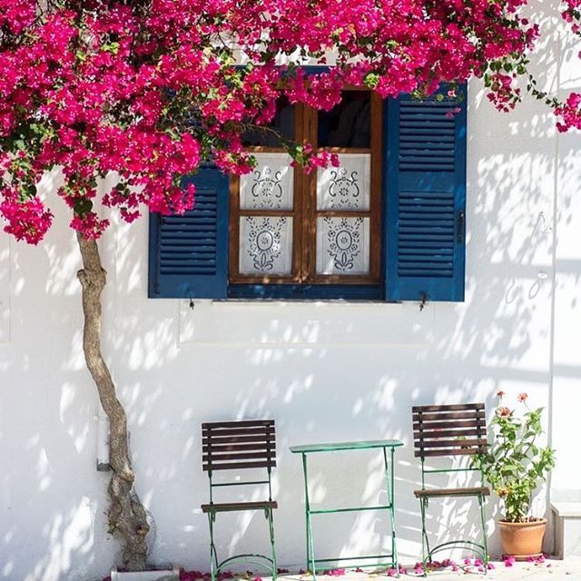 Beautify the Front Porch with Flowers and Shrub - Decor Inspirator