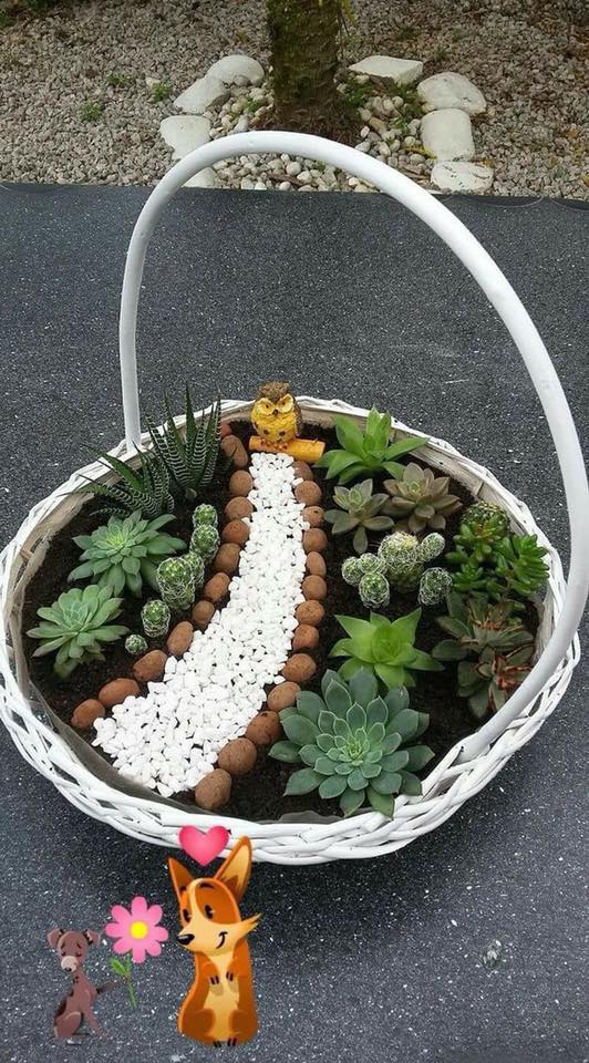 mini garden  in baskte