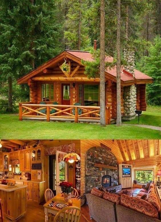 wood log house