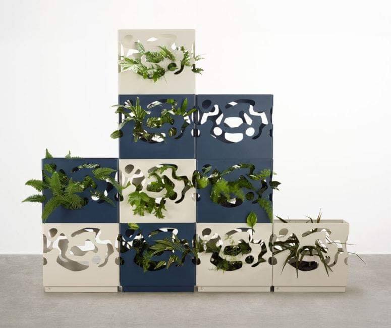 box planters