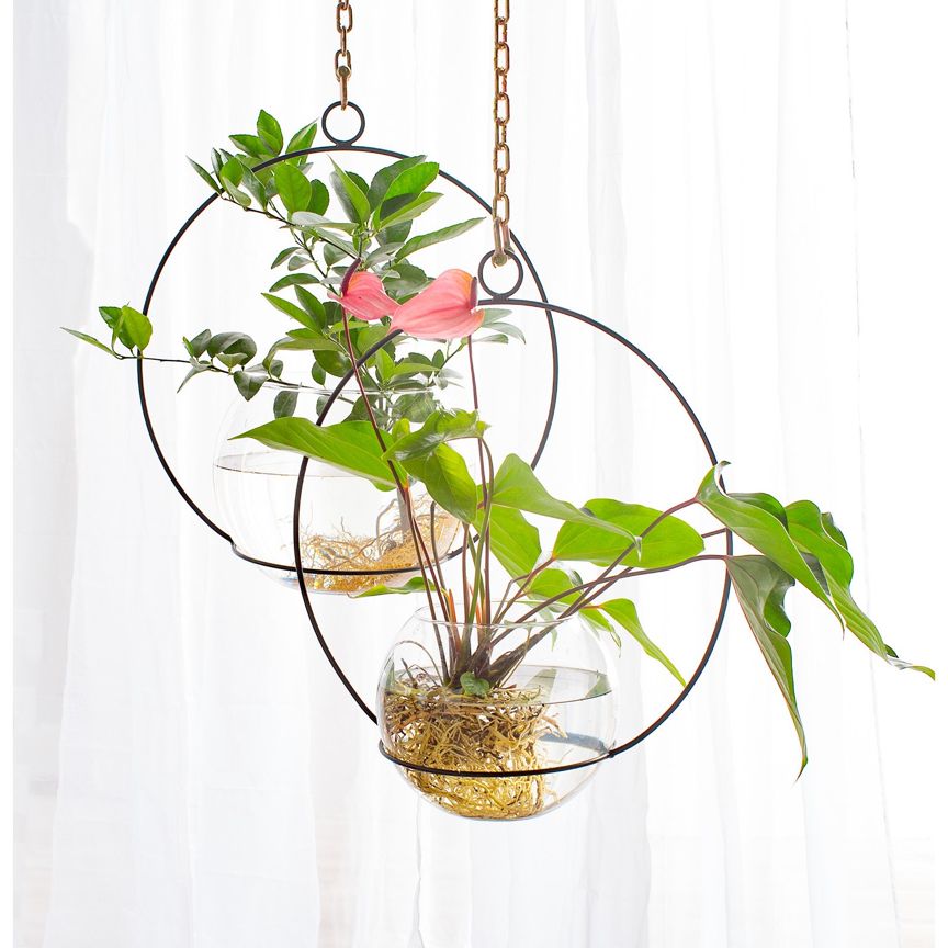 hoop planter holder