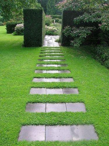 lovely pathway