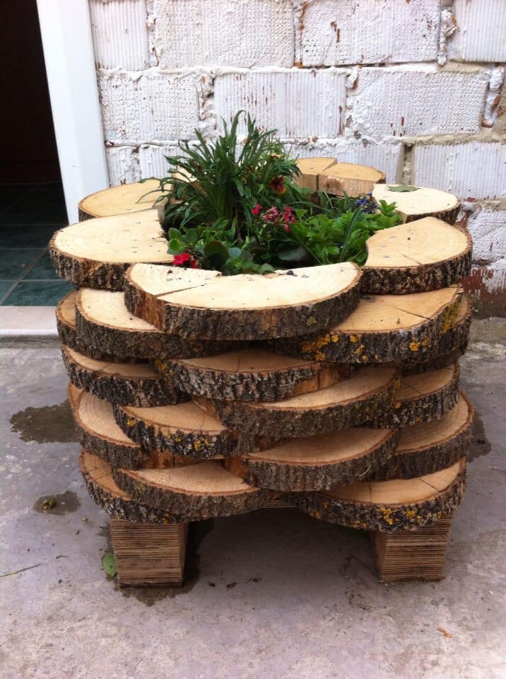 wood slice planter