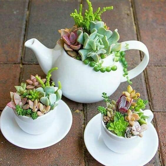 tea cup reuse