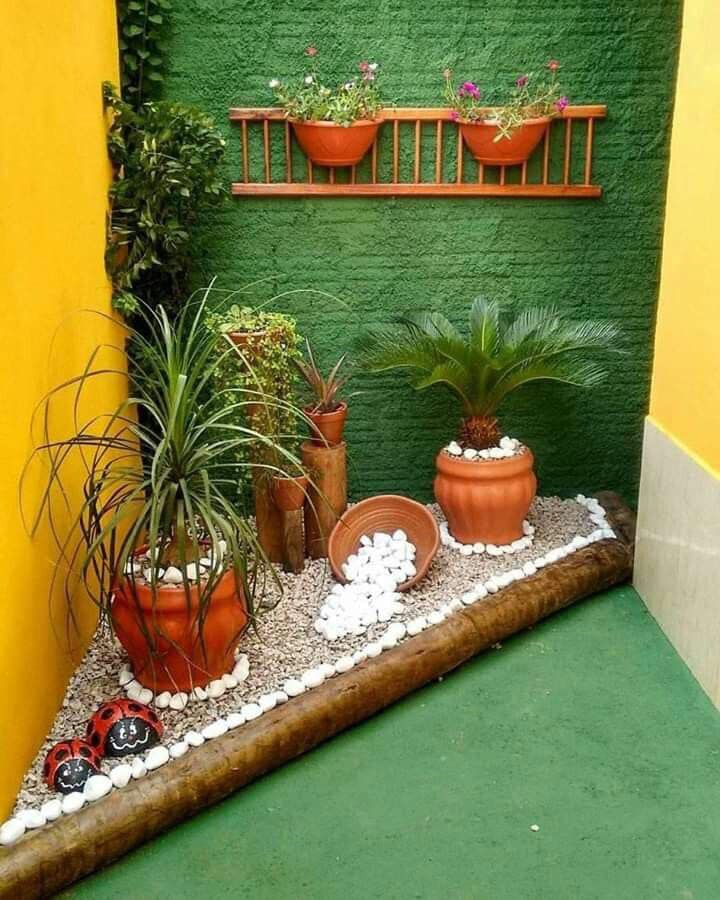 small and vibrant garden