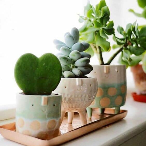 Small and Cute Flower Pots Decor Inspirator