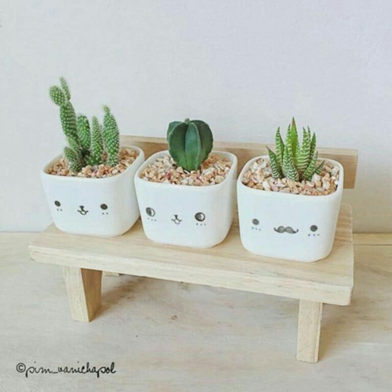 tiny pots