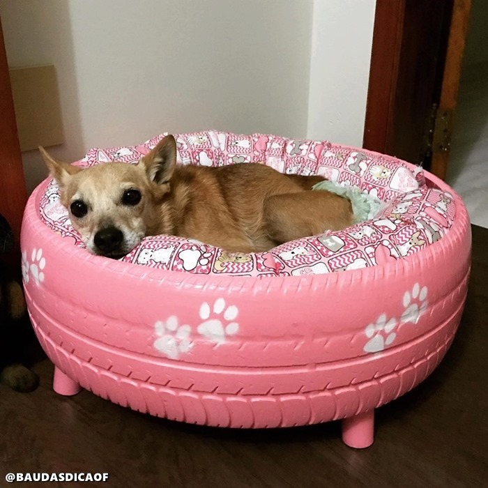 pink dog bed