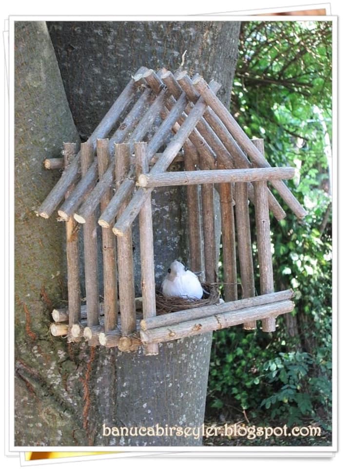 bird house