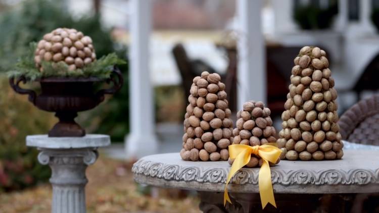 walnuts trees